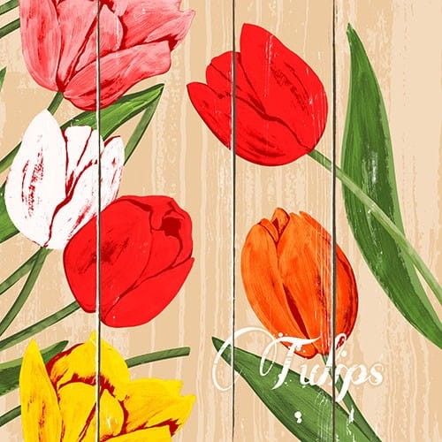 SERWETKA Tissue 40X40 cm BLOOMING Tulips, 50 szt.
