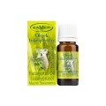 OLEJEK eteryczny EUKALIPTUSOWY, 7ml 